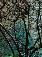 Load image into Gallery viewer, AC - 0035 Glossy Tree