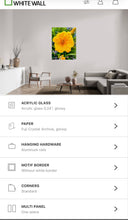 Load image into Gallery viewer, AC - 031 Golden Beauty