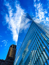 Load image into Gallery viewer, AC - 029 Freedom Close Up