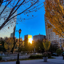 Load image into Gallery viewer, 0452 Urban Park