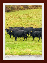 Load image into Gallery viewer, 0441 Cattle