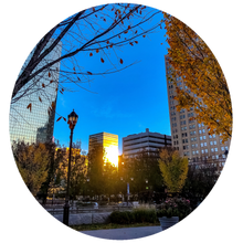 Load image into Gallery viewer, 0452 Urban Park