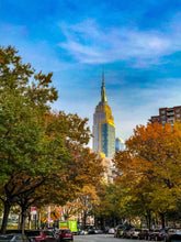 Load image into Gallery viewer, 0455 Touch of Autumn