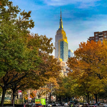 Load image into Gallery viewer, 0455 Touch of Autumn