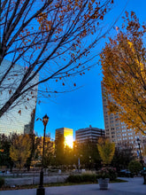 Load image into Gallery viewer, 0452 Urban Park