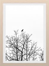 Load image into Gallery viewer, 0625 Crow