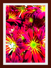 Load image into Gallery viewer, 0177 Stars Of Red