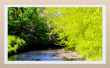 Load image into Gallery viewer, 0496 Down The Creek