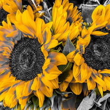Load image into Gallery viewer, 0596 Sunflowers