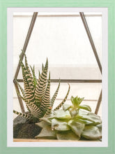 Load image into Gallery viewer, 0457 Succulent Haven
