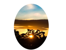 Load image into Gallery viewer, 0409 September Morning