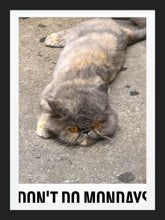 Load image into Gallery viewer, 0343 Monday, Monday