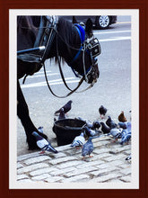 Load image into Gallery viewer, 0378 Lunchtime