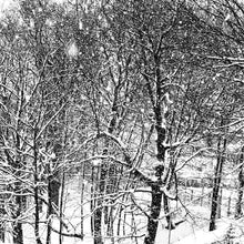 Load image into Gallery viewer, 0571 Winter's Work Of Art