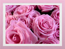 Load image into Gallery viewer, 0453 Stunning Pink Roses