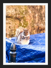 Load image into Gallery viewer, 0474 Can I Help You?