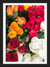 Load image into Gallery viewer, 0468 Roses and More Roses