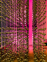 Load image into Gallery viewer, 0461 Abstract Beads