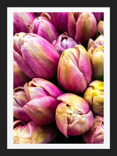 Load image into Gallery viewer, 0466 Pink Tulips