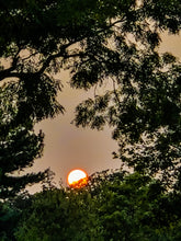 Load image into Gallery viewer, 0545 There Goes The Sun