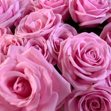 Load image into Gallery viewer, 0453 Stunning Pink Roses