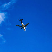 Load image into Gallery viewer, 0533 Flying High