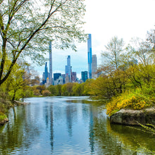 Load image into Gallery viewer, 0577 Central Park South