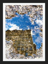 Load image into Gallery viewer, 0607 Reflections of Herald