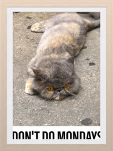 Load image into Gallery viewer, 0343 Monday, Monday