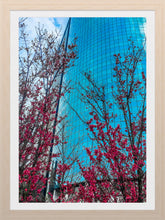 Load image into Gallery viewer, 0010 Downtown Beauty