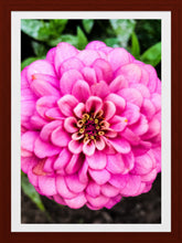 Load image into Gallery viewer, 0555 Pretty In Pink