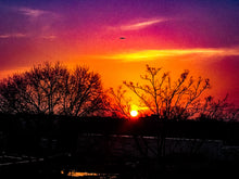 Load image into Gallery viewer, 0080 Early Spring Sunrise