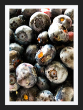 Load image into Gallery viewer, 0353 Blueberries