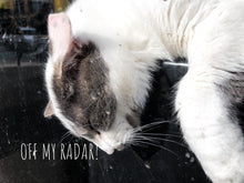 Load image into Gallery viewer, 0307 OMR