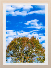 Load image into Gallery viewer, 0551 Touch Of Fall