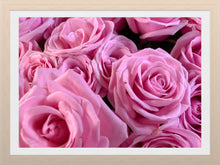 Load image into Gallery viewer, 0453 Stunning Pink Roses