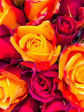 Load image into Gallery viewer, 0618 Fiery Roses