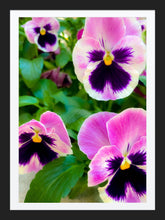 Load image into Gallery viewer, 0302 We Four Hombres!