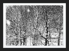 Load image into Gallery viewer, 0571 Winter's Work Of Art