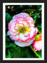 Load image into Gallery viewer, 0300 May's Flower