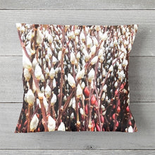 Load image into Gallery viewer, 0485 Beautiful Pussy Willow