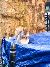 Load image into Gallery viewer, 0474 Can I Help You?