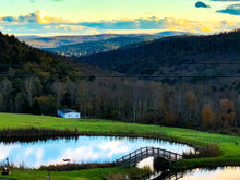 Load image into Gallery viewer, 0382 Tranquil Pond