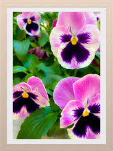 Load image into Gallery viewer, 0302 We Four Hombres!