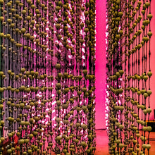 Load image into Gallery viewer, 0461 Abstract Beads