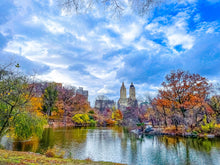 Load image into Gallery viewer, 0617 Central Park In Fall