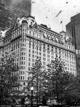 Load image into Gallery viewer, 0178 Historic Plaza Hotel