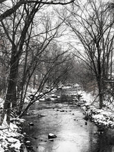 Load image into Gallery viewer, 0565 Wintry Creek