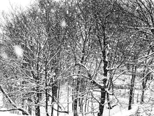 Load image into Gallery viewer, 0571 Winter's Work Of Art