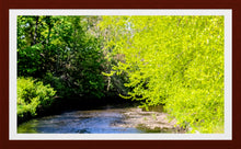 Load image into Gallery viewer, 0496 Down The Creek